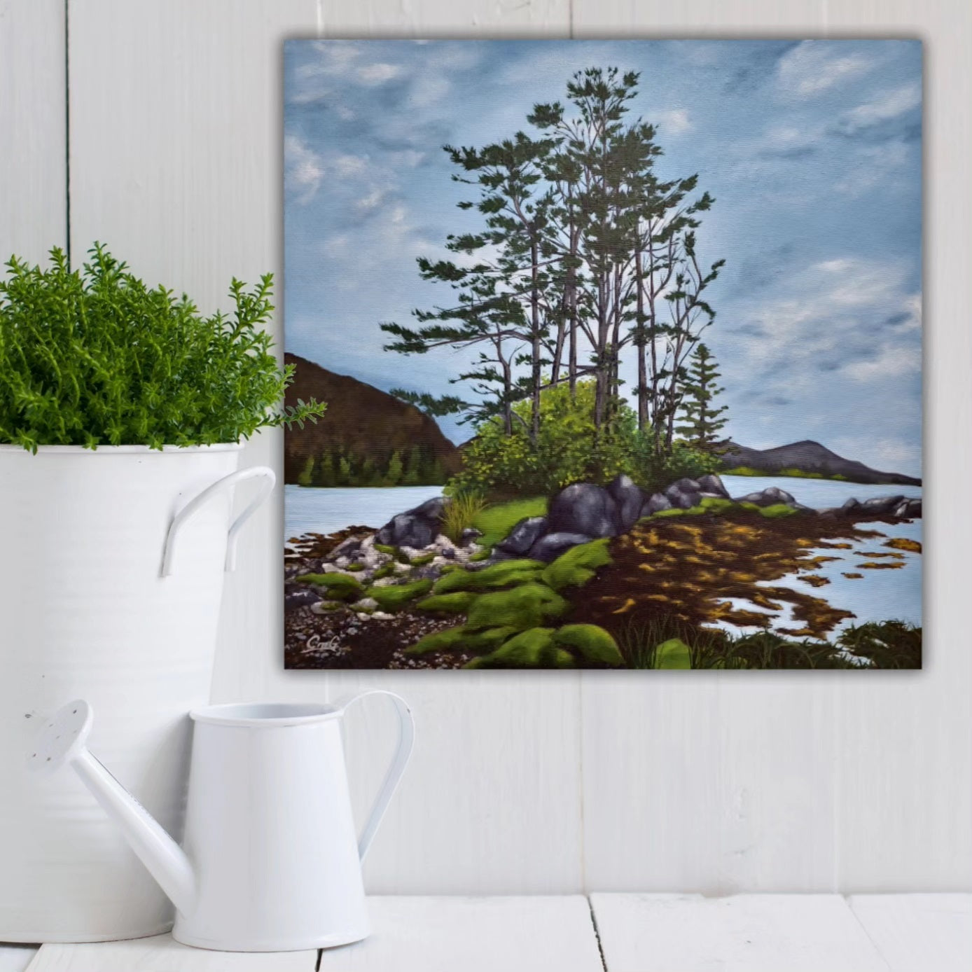 Christina Gouldsborough Canadian landscape artist's original oil painting of windswept pine trees on a rocky shore, hanging behind a white potted plant and watering can, on a white panel wall