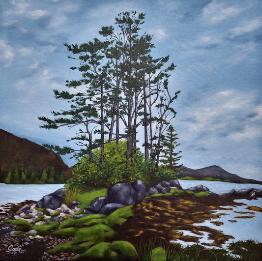 Christina Gouldsborough Canadian landscape artist's original oil painting of windswept pine trees on a rocky shore. 