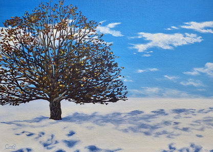 Original Art Greeting Cards (Blank) 5"x7" card -full image cover