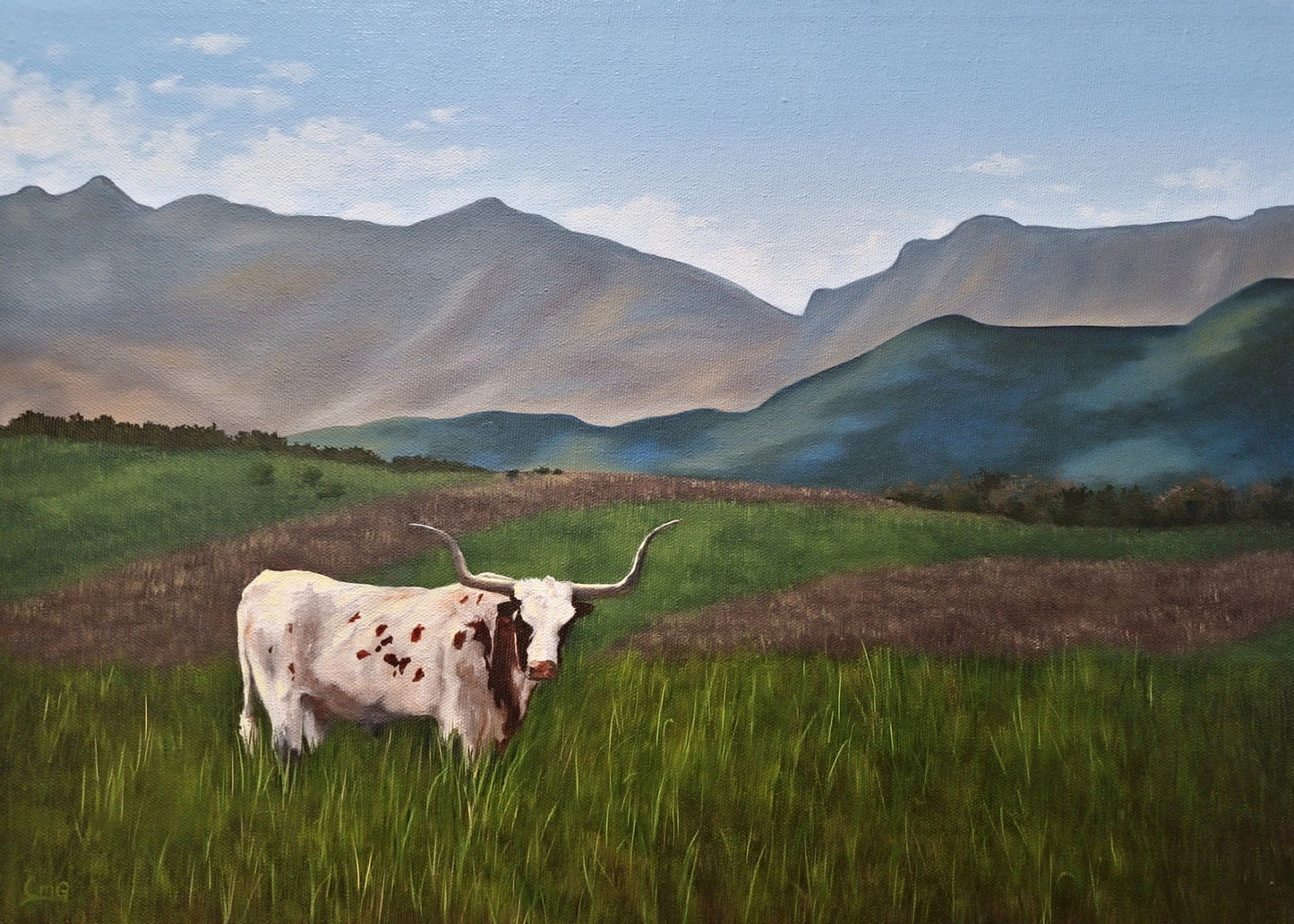 Original Art Greeting Cards (Blank) 5"x7" card -full image cover