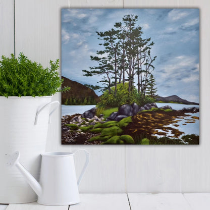 Christina Gouldsborough Canadian landscape artist's original oil painting of windswept pine trees on a rocky shore, hanging behind a white potted  plant and watering can, on a white panel wall