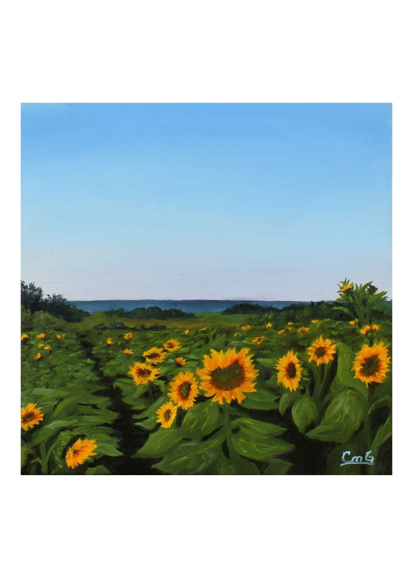 August Sunflower Original Art Greeting Card