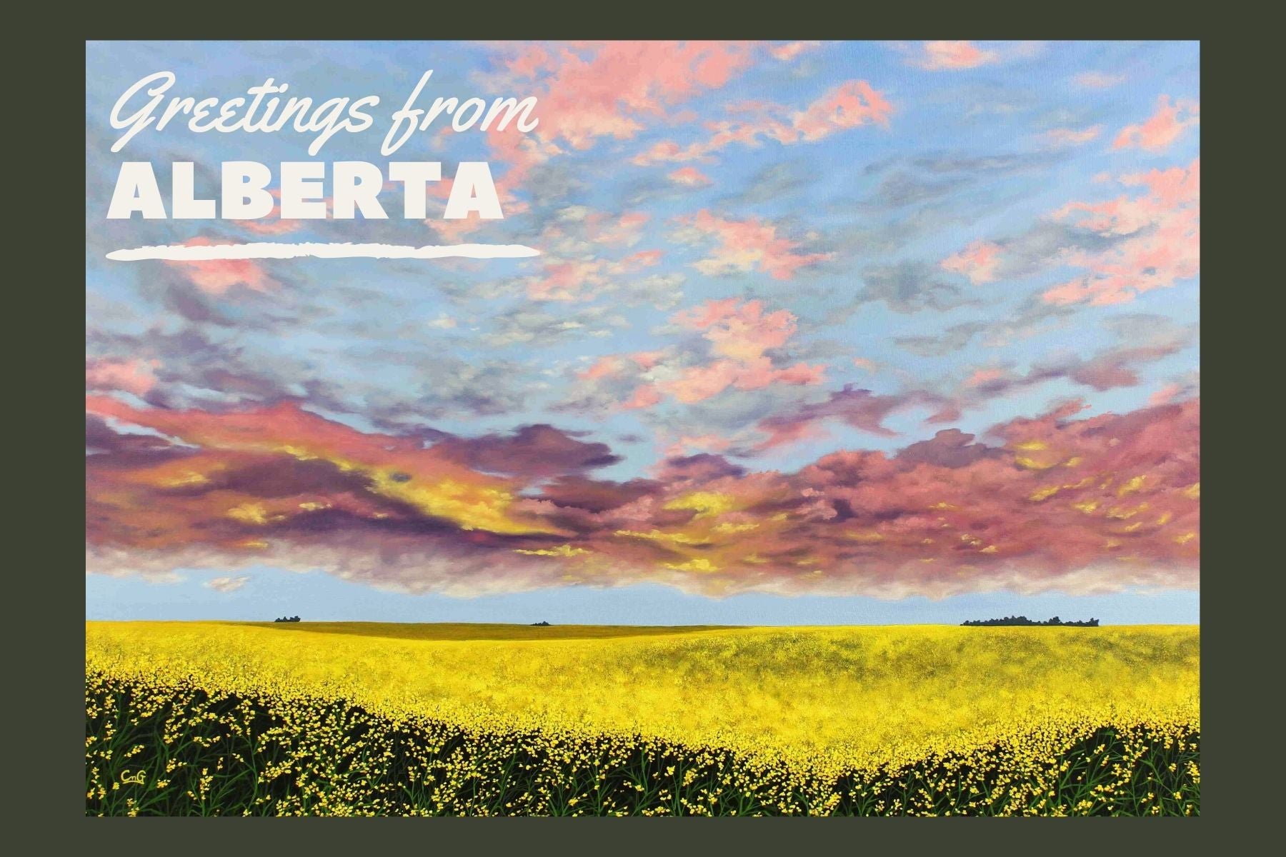 Greeting from Alberta Original Art postcard of Canola and sunset